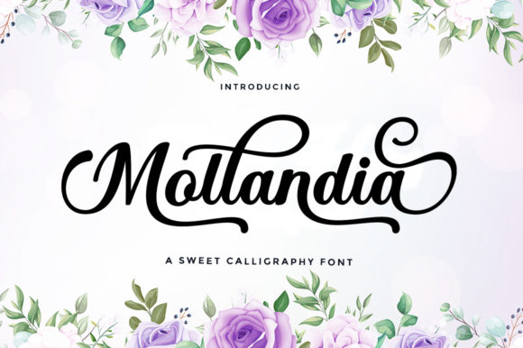 Mollandia Font Poster 1