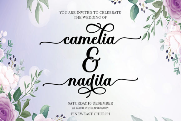 Mollandia Font Poster 3