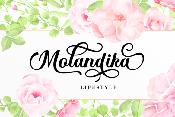 Mollandia Font Poster 7