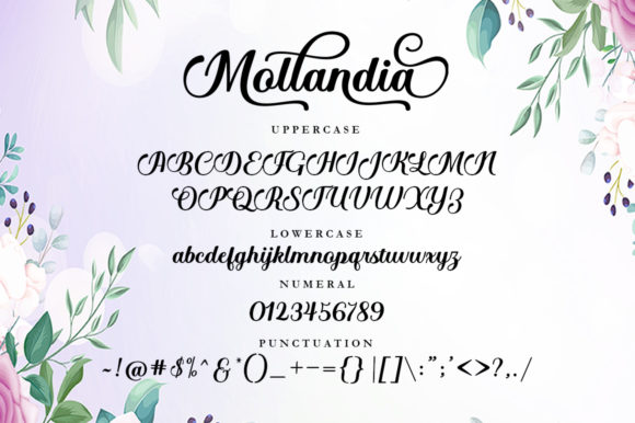 Mollandia Font Poster 9