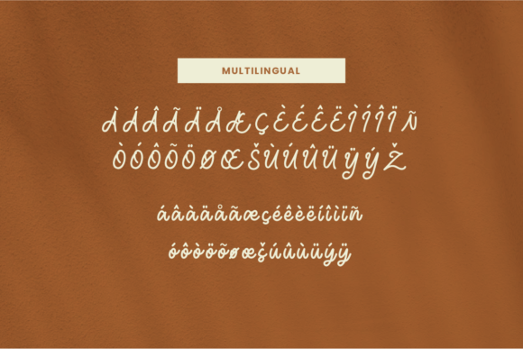 Mondany Font Poster 5