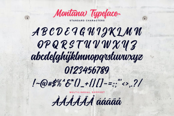 Montana Font Poster 14