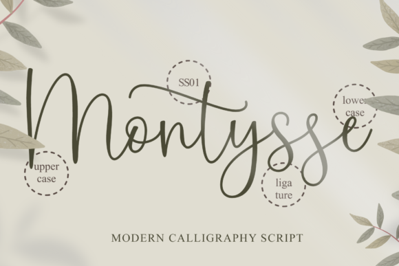 Montysse Font Poster 10