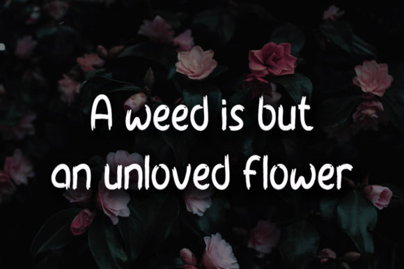 Morning Flowers Font Poster 2