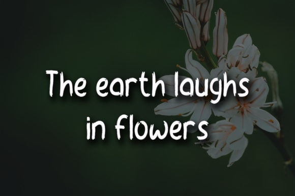 Morning Flowers Font Poster 3