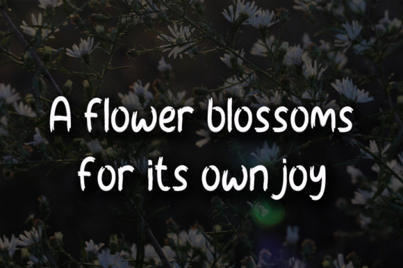 Morning Flowers Font Poster 4