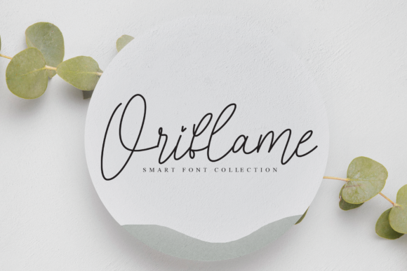 Morning Signature Font Poster 4