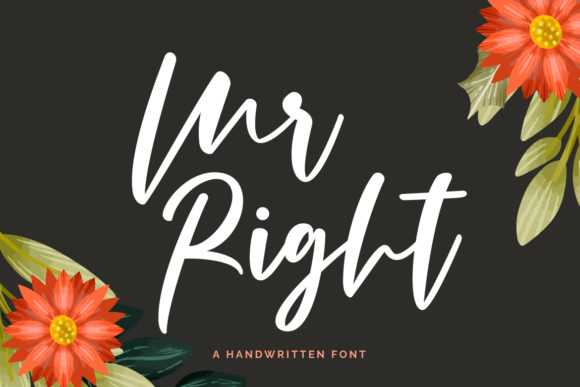Mr Right Font Poster 1