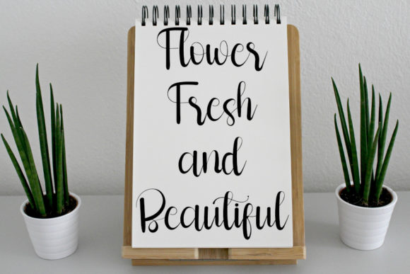 Multitalent Font Poster 4