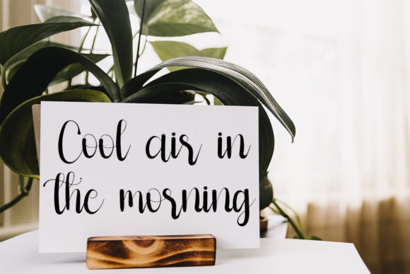 Multitalent Font Poster 5