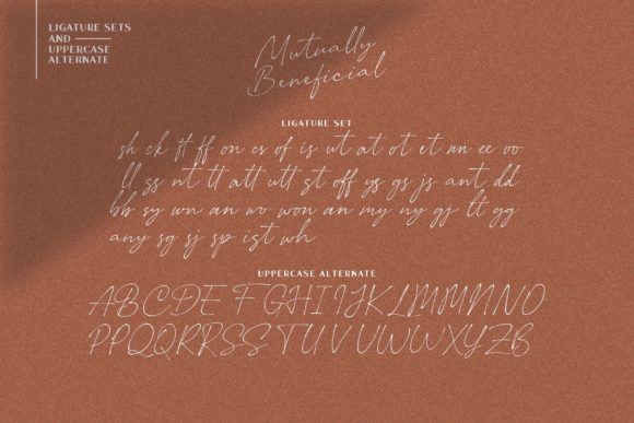 Mutually Beneficial Font Poster 11