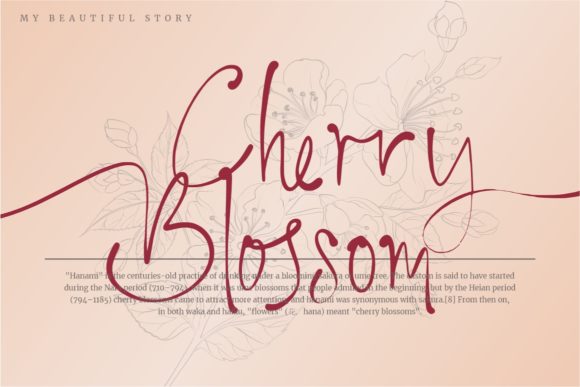 My Beautiful Story Font Poster 2