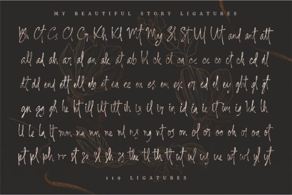 My Beautiful Story Font Poster 11