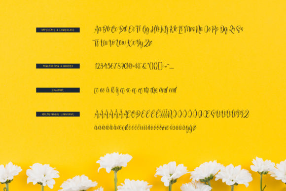 My Girl Font Poster 5