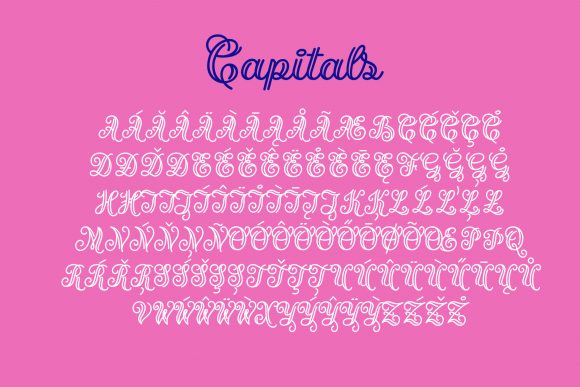 Name Broidery Font Poster 3