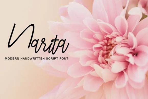 Narita Font