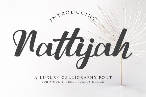 Nattijah Font