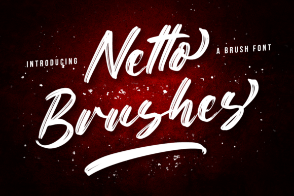 Netto Brushes Font