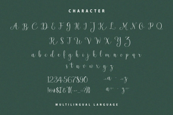 Newark Font Poster 7