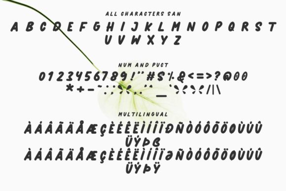 Newnesia Font Poster 9