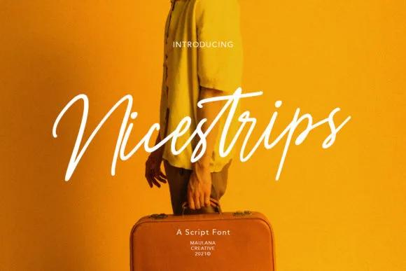 Nicestrips Font Nicestrips Font Poster 1