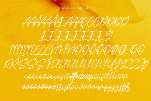 Nicestrips Font Poster 11
