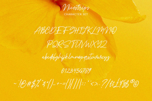 Nicestrips Font Poster 8
