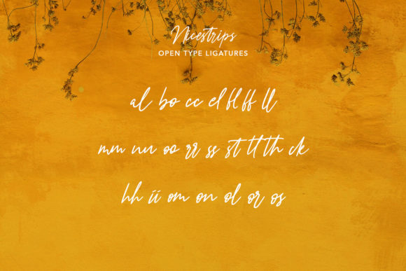 Nicestrips Font Poster 9
