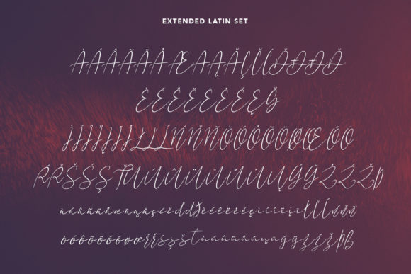 Nickjones Font Poster 11