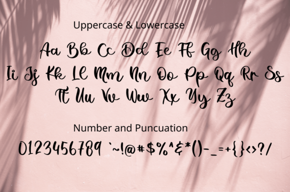 Nicoletta Font Poster 8