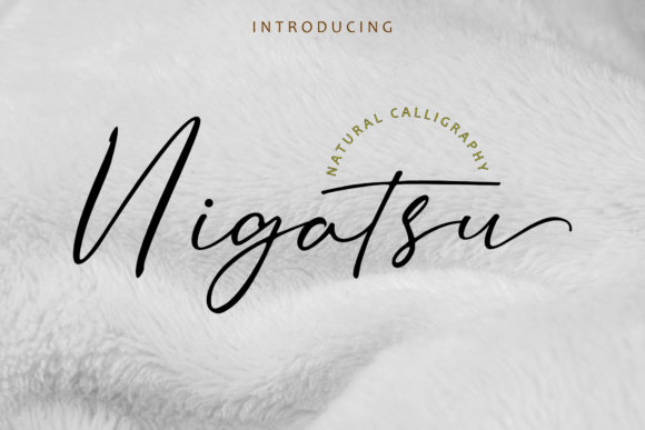 Nigatsu Font