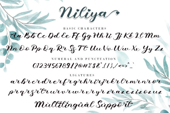 Niliya Font Poster 9