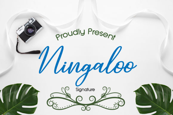 Ningaloo Font