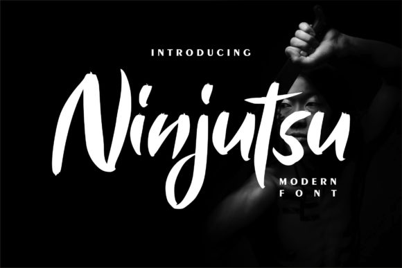 Ninjutsu Font Poster 1