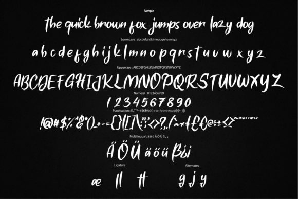Ninjutsu Font Poster 6