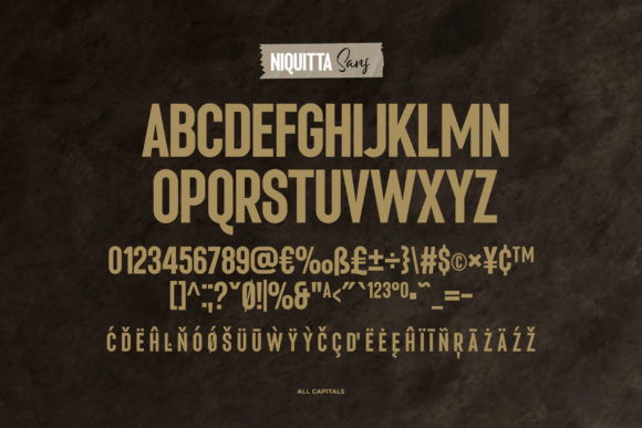 Niquitta Mirzani Font Poster 16