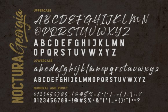 Noctura Georgia Font Poster 11