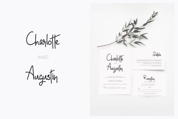 Norletta Font Poster 6