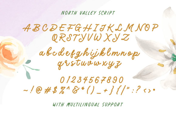 North Valley Font Poster 8