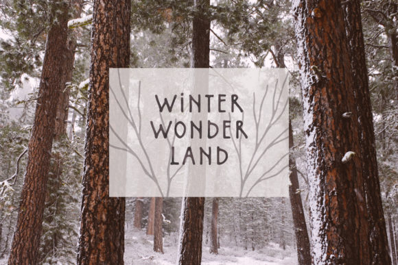 Northlands Font Poster 3