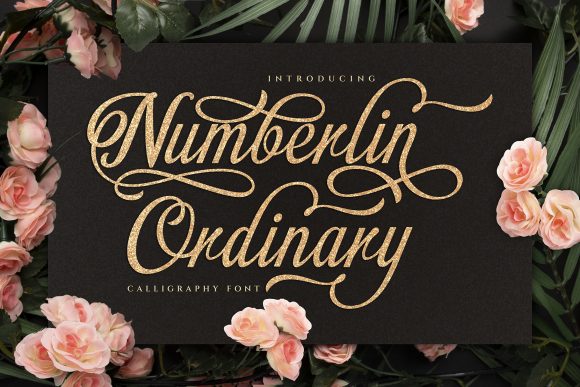 Numberlin Ordinary Font Poster 1