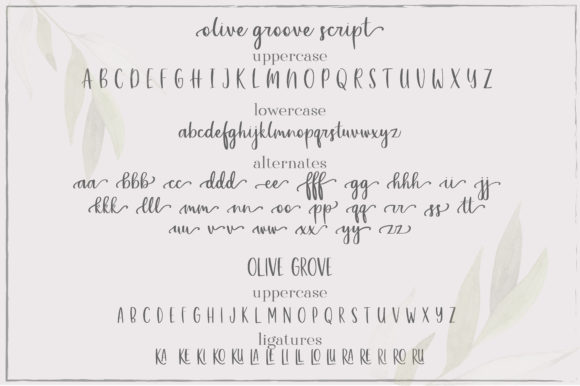 Olive Grove Font Poster 3