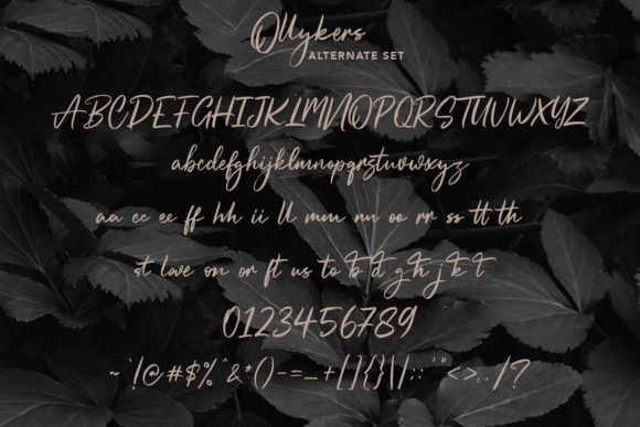 Ollykers Font Poster 8