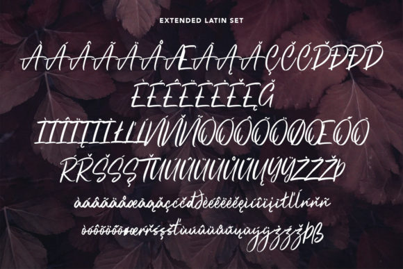 Ollykers Font Poster 10