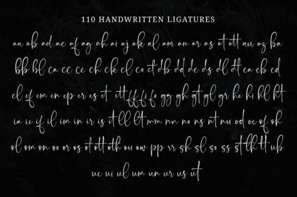 Onesty Signature Font Poster 10