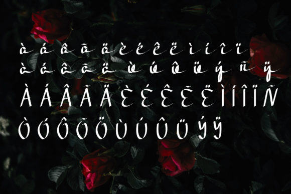 Onfire Font Poster 5
