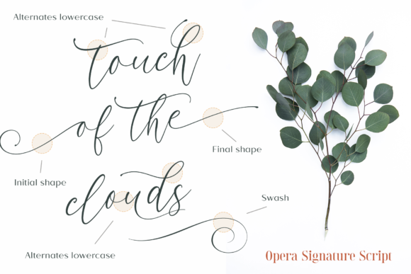 Opera Signature Font Poster 6