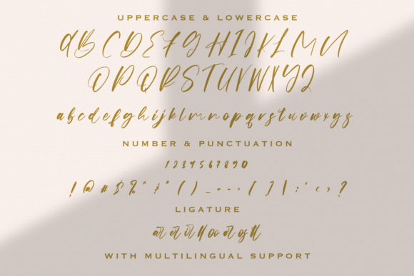 Origa Script Font Poster 14