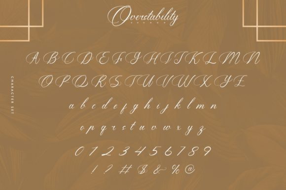 Overstability Font Poster 4