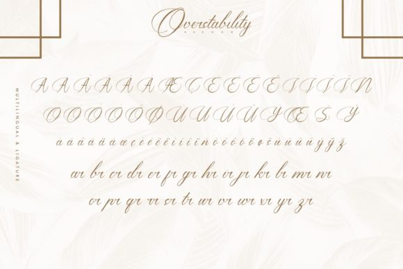 Overstability Font Poster 6